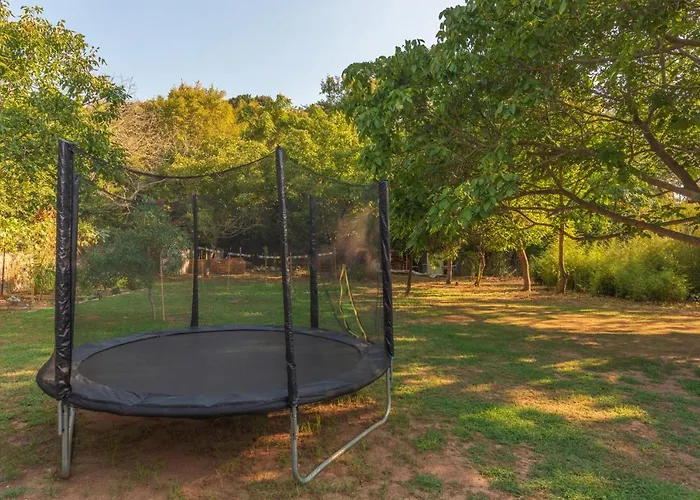 The Pirates - Chill-out In Strandnaehe Milina